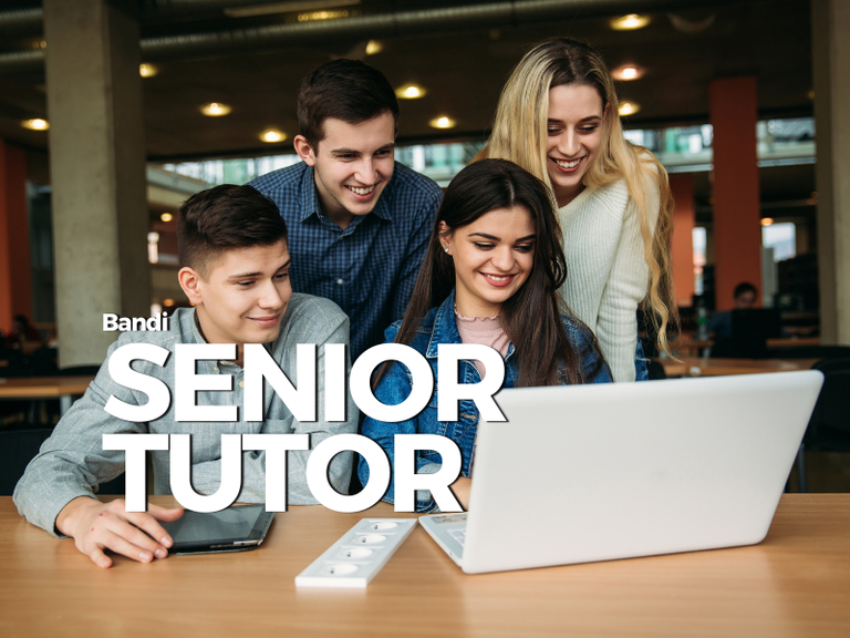 Diventa Senior Tutor: nuovi bandi online